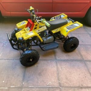 Best 49cc Kids Banshee