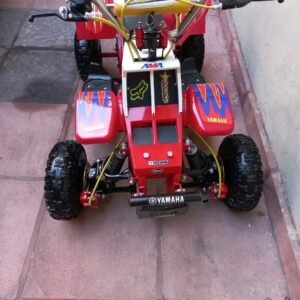 Best Kids 49cc 2-Stroke Banshee